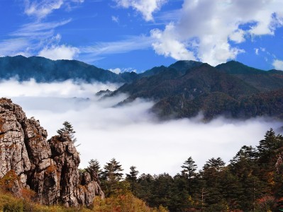 宁波神农架：秘境之旅，云海奇观，草原牧歌，探寻世外桃源